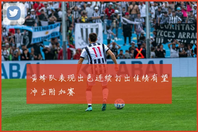 黄蜂队表现出色连续打出佳绩有望冲击附加赛