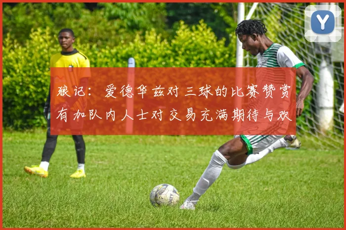 狼记：爱德华兹对三球的比赛赞赏有加队内人士对交易充满期待与欢欣