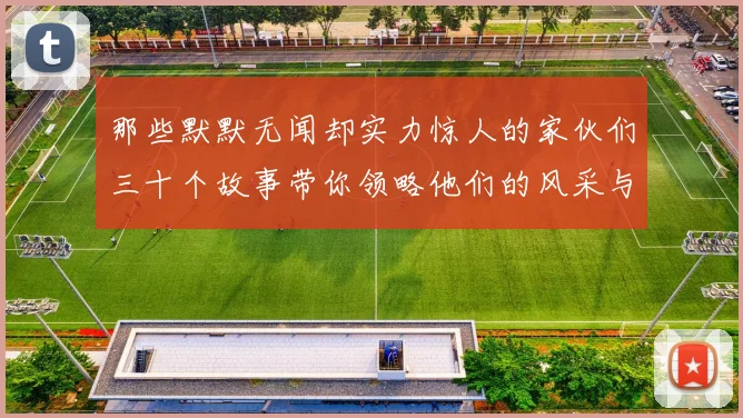 那些默默无闻却实力惊人的家伙们三十个故事带你领略他们的风采与传奇