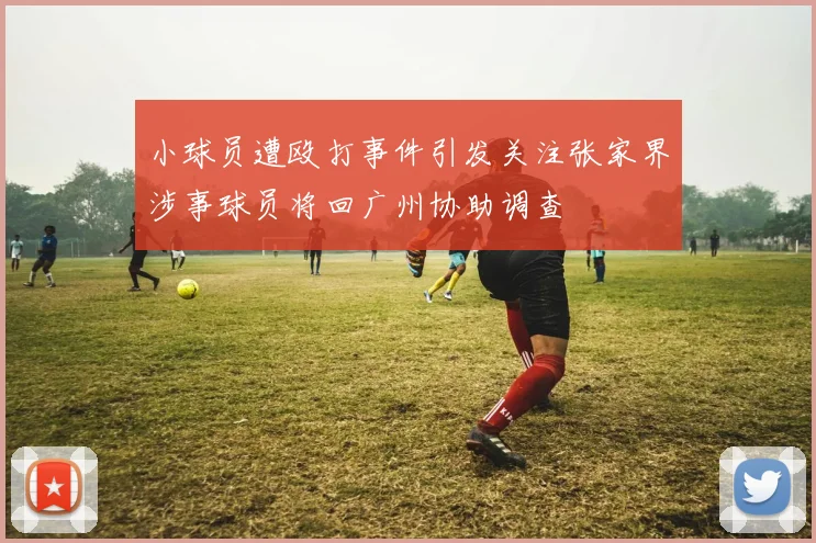 小球员遭殴打事件引发关注张家界涉事球员将回广州协助调查